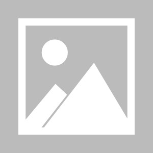体育基金会携手香港赛马会 助力职工体育事业发展|基层|羽毛球|全民健身|赛事|劳动者